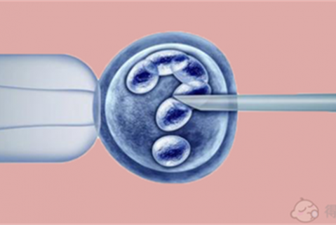 四维彩超看男孩女孩诀窍，这些看男女小技巧全教给你