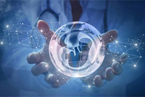 做风疹病毒检查要空腹吗